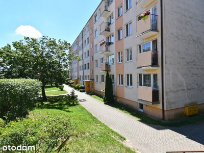 Apartament Villa Botanica | AM6