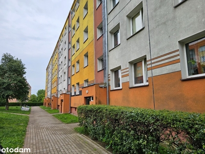 Mieszkanie w Centrum - 49m2 - 3 pokoje