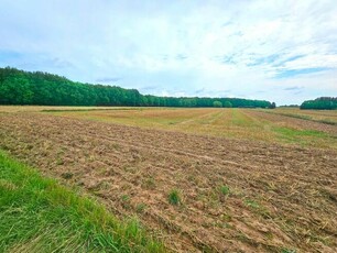 Działka rolna Radawiec Duży gm. Konopnica,