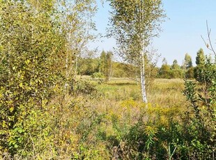 Działka rolno-budowlana Białystok gm. Supraśl Ciasne