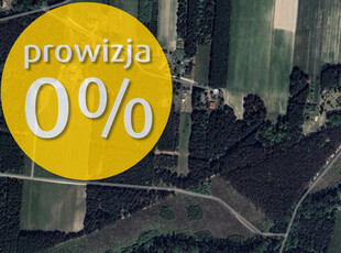 Działka z lasem 56 arów