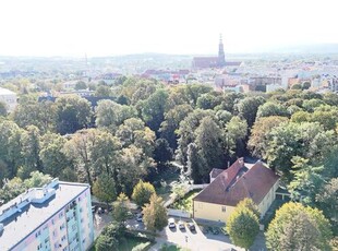 Lokal użytkowy Świdnica