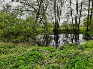 Staniszewice posiadłość3,18ha,WZ,1.2mlnzł