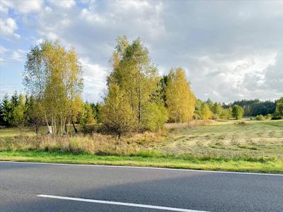 Działka na sprzedaż, Bełchatowski, Zwierzyniec Duży