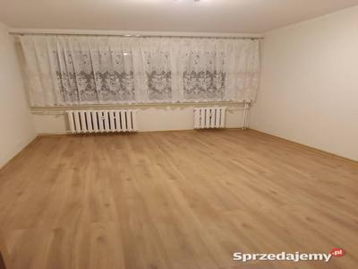 Mieszkanie na parterze 39m2