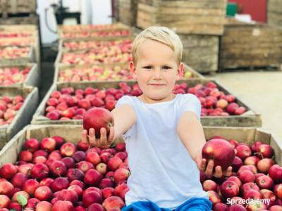 Gospodarstwo Sadownicze, 11,4 ha - Potencjał Biznesowy