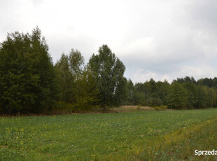 Działka rolna, Brzeźnica Książęca Kolonia, 1,77 ha