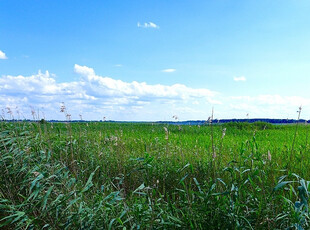 Kamieński, Kamień Pomorski, Chrząszczewo, Nad zalewem