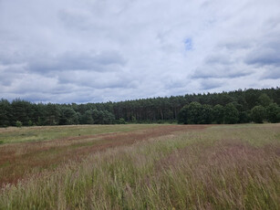 Myśliborski, Dębno, Klepin