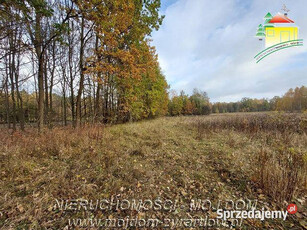 Oferta sprzedaży gruntu 2094m2 Benenard