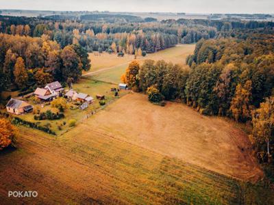 Działka na Podlasiu - 1 hektar, budynek, łąka, las