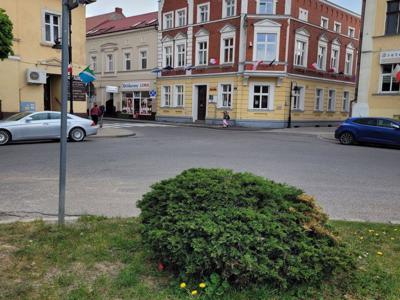 Poznański, Buk, Centrum-Rynek