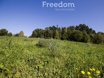 2,7 ha działki położonej 650 m od Sanu