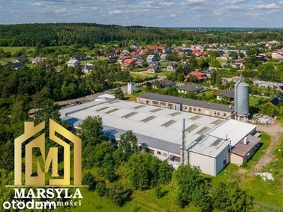 Dochodowa fabryka mebli. Idealna inwestycja Mstów