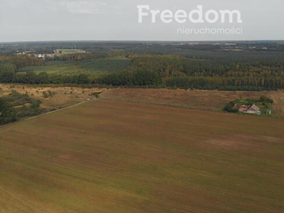 Działka 3041 m2 w atrakcyjnej cenie!