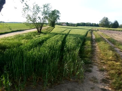 Działka budowlana, ul. Parkowa