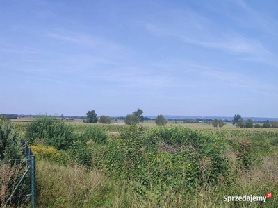 Działka do zabudowy 0,51 ha Jelonki, pow. Elbląski