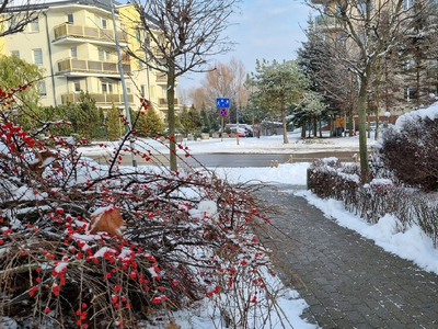 Gdańsk, Ujeścisko-Łostowice