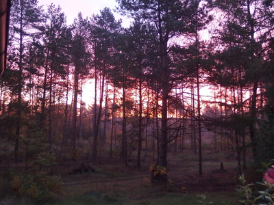 kościerski, Stara Kiszewa, Chwarzno, K.Porębskiego, 10/2 lub 10/6