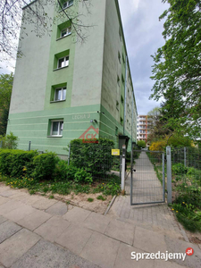 Oferta sprzedaży mieszkania Kielce Lecha 23m2 1 pokojowe