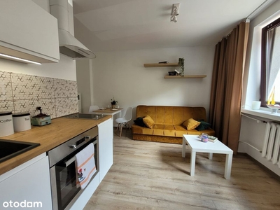 apartament, oferta dewelopera