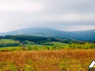 Działka budowlana, ul. Jarzębinowa