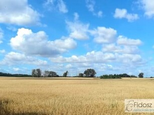 Działka rolna Korytowo