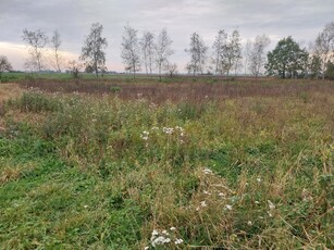 Na sprzedaż działka budowlana w Dąbrowie