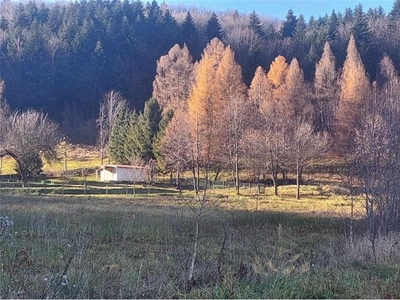 Działka Sprzedaż Roczyny, Polska