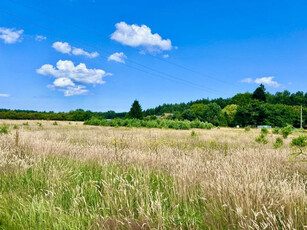 Kamieński, Wolin, Domysłów