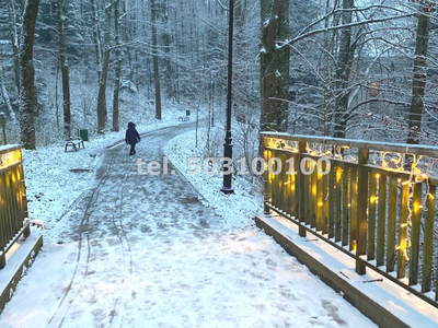 Nowosądecki (pow.), Krynica-Zdrój (gm.), Krynica-Zdrój