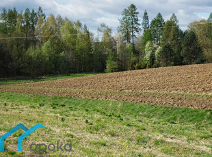 Cieszyński, Hażlach, Pogwizdów