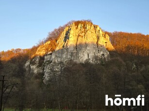 Na sprzedaż 1,3 ha działki leśno-rolnej, okazja