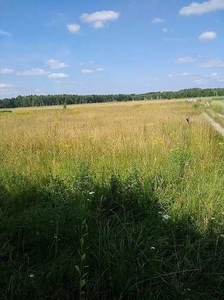 atrakcyjną działkę przy lesie i rzece sprzedam