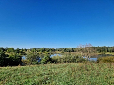 Działka (1475m2) na Warmii z pięknym widokiem na wodę i dziką naturę