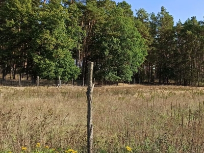 Działka budowlana z projektem i pozwoleniem na budowę Bronków