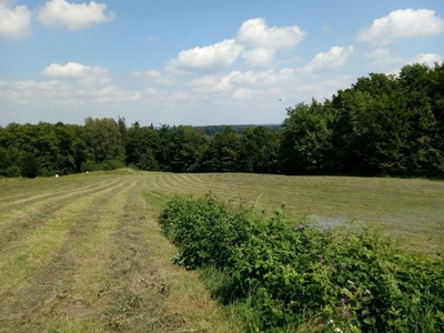 Działka budowlano-rolna w Zamarskach k/Cieszyna