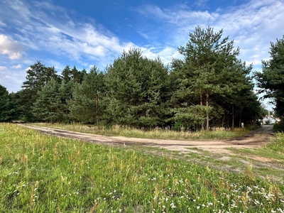 Działka Czeszów, 3500m2, otoczenie lasu cisza i spokoj.