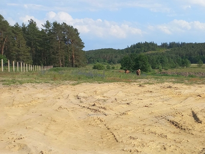 Działka Lubowidz-Lębork 5000 m2