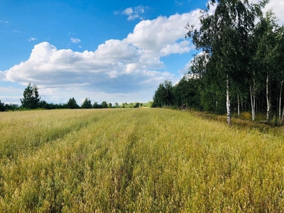 Działka Porosiuki 1000m