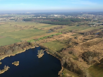 Działka rolna Gogolin