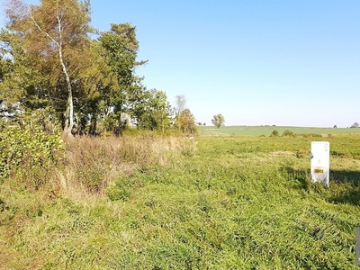 Działka rolna Trzebieszewo, ul. 1