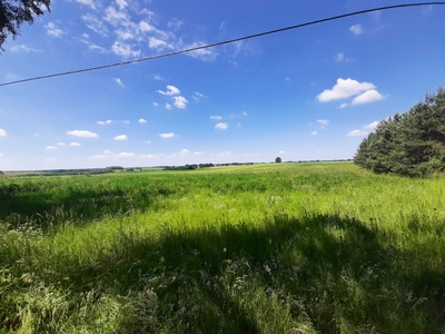 Działka rolnobudowlana przy lesie z warunkami zabudowy, powiat Kwidzyn