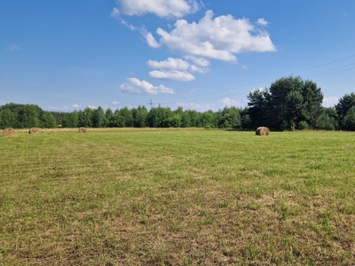 Działka siedliskowa w pięknej okolicy! 8000 m2, Koźliki