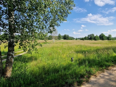 Działka siedliskowa, wokół cisza i spokój. 6100 m2, obręb Koźliki