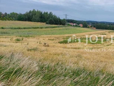 Działka usługowa Wierzbna, ul. Zielone Wzgórze