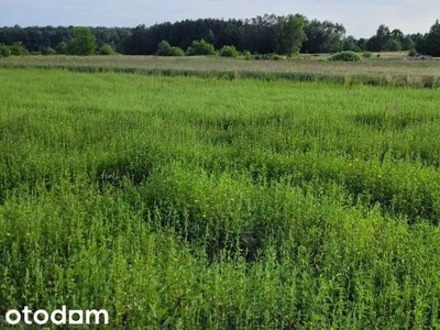 Działka w cichej I spokojnej okolicy