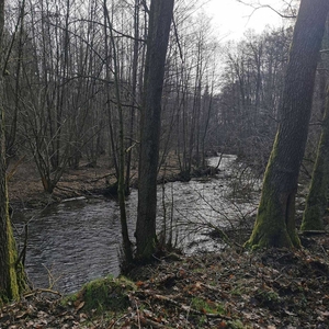 Działki pod elektrownie wodną agroturystykę