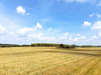 Działki rolno - budowlane 12 ar. Trelkowo