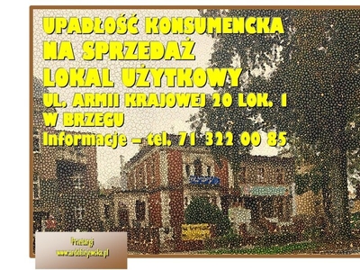 Lokal użytkowy na sprzedaż 187,50 m²